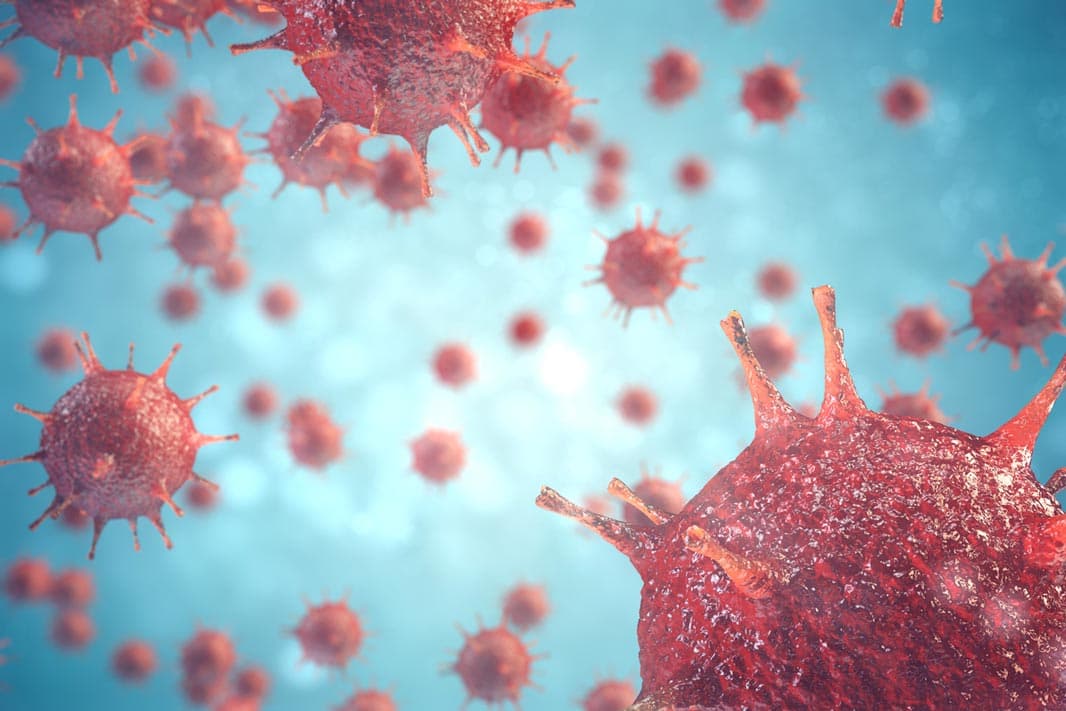 Influenza Virus