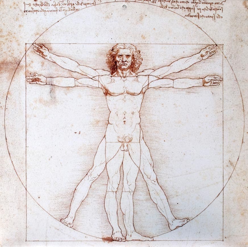 Da Vinci Vitruv