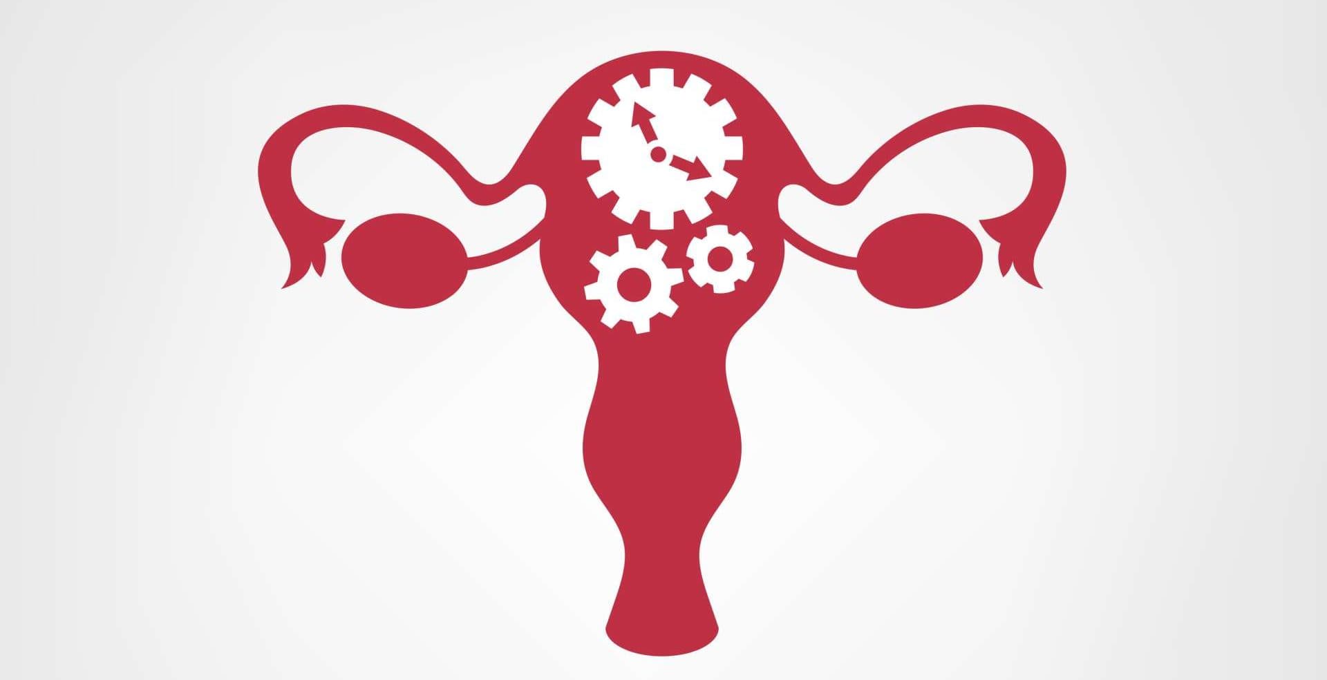 Wechseljahre Vektor-Symbol.