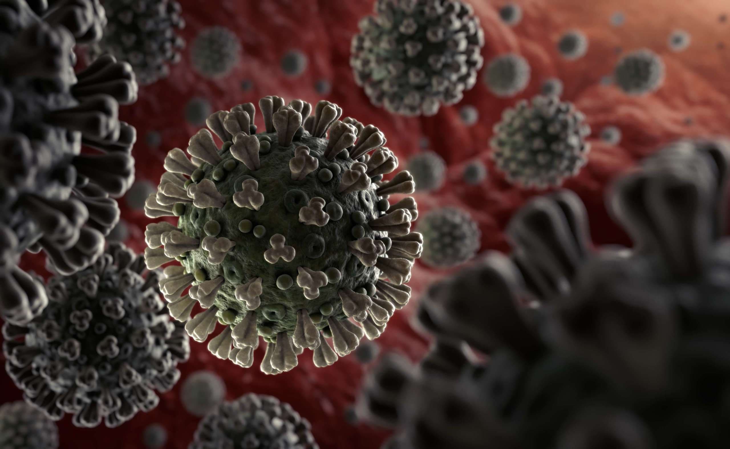 Coronavirus 2019-nCoV-Ausbreitung