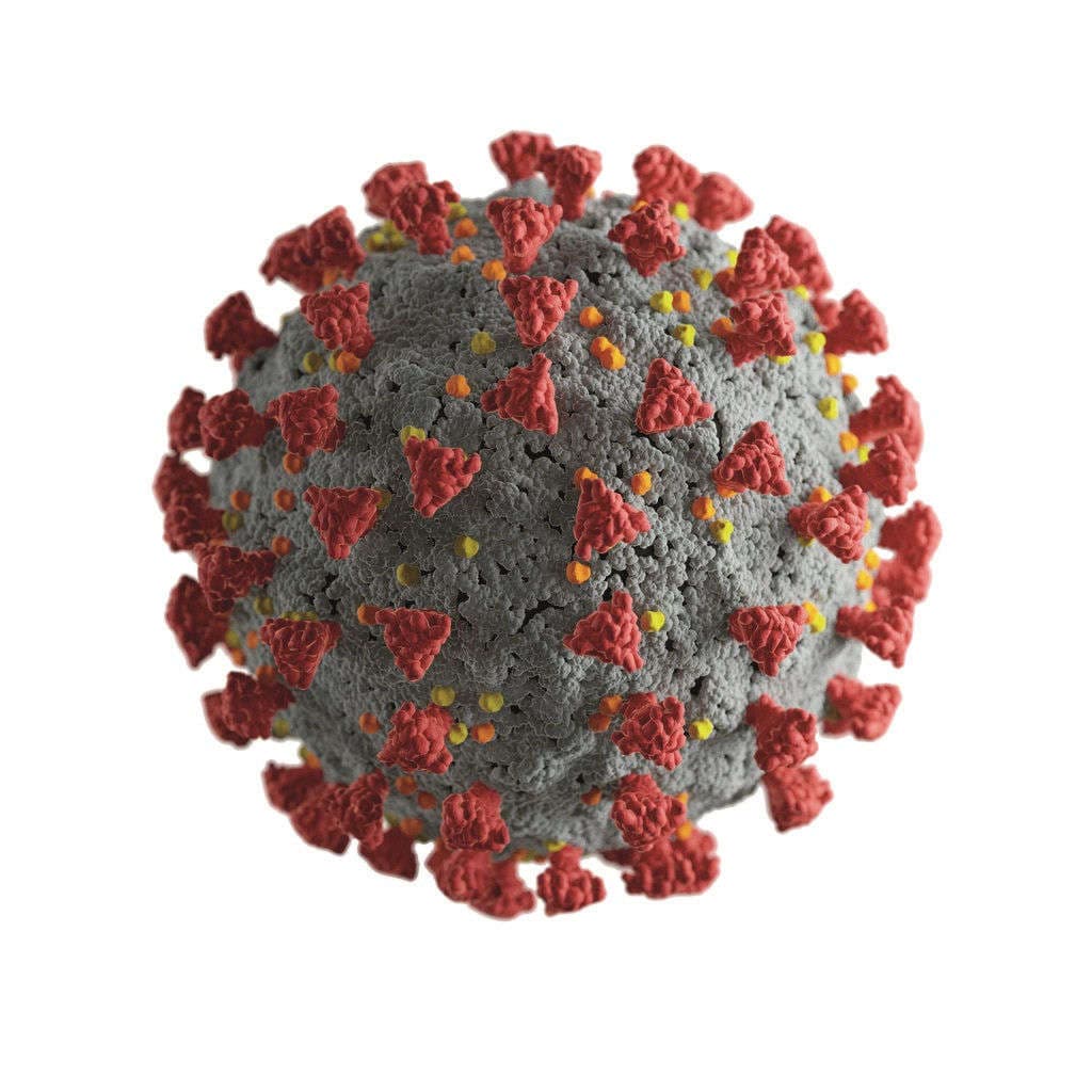 3D Rendering des Covid Virus