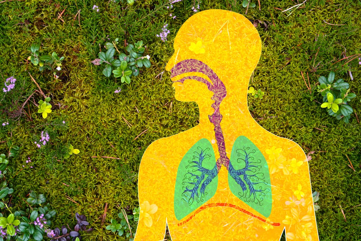 Composite illustration of lungs and airway with plants in the background.