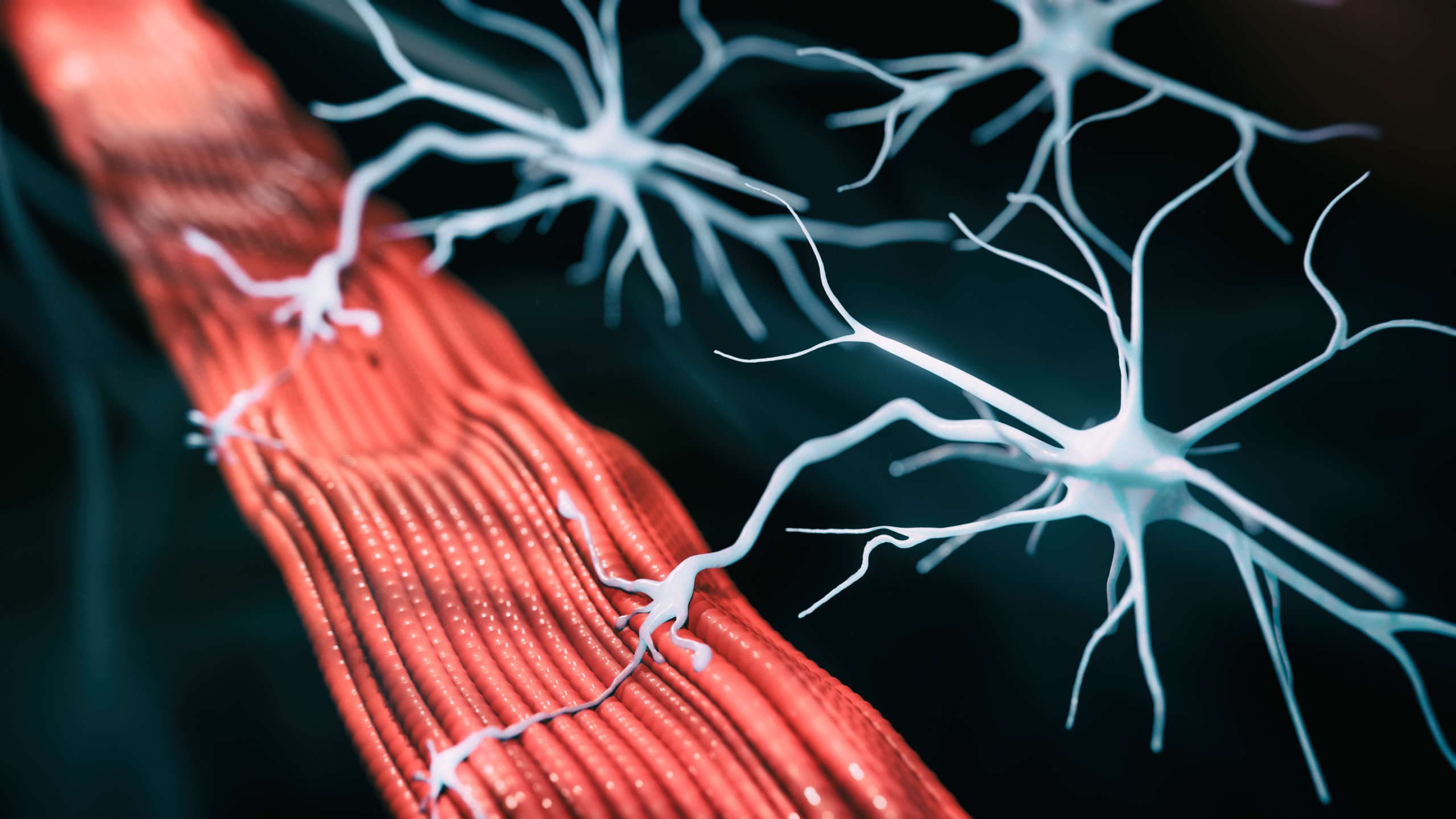 Im Rahmen der Fortbildung werden Hintergründe und Vorgehensweise bei Früherkennung, klinischer Präsentation und Therapie der spinalen Muskelatrophie vermittelt.