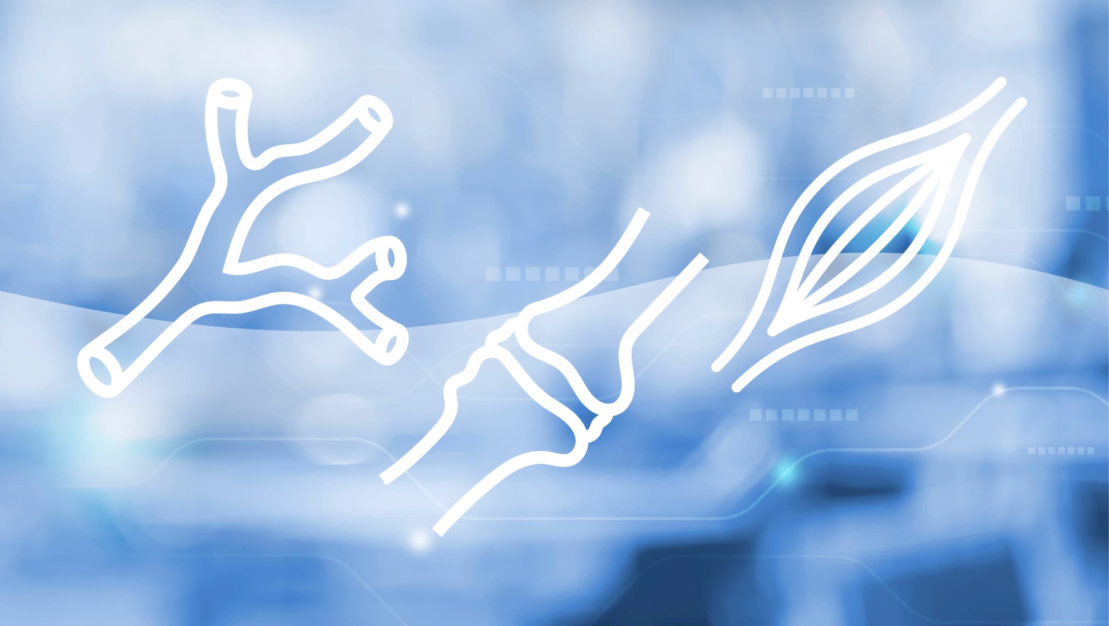 CME Webinar - Rheumatische Autoimmunerkrankungen (SSc, CTD, RA) – Die Wichtigkeit der Früherkennung