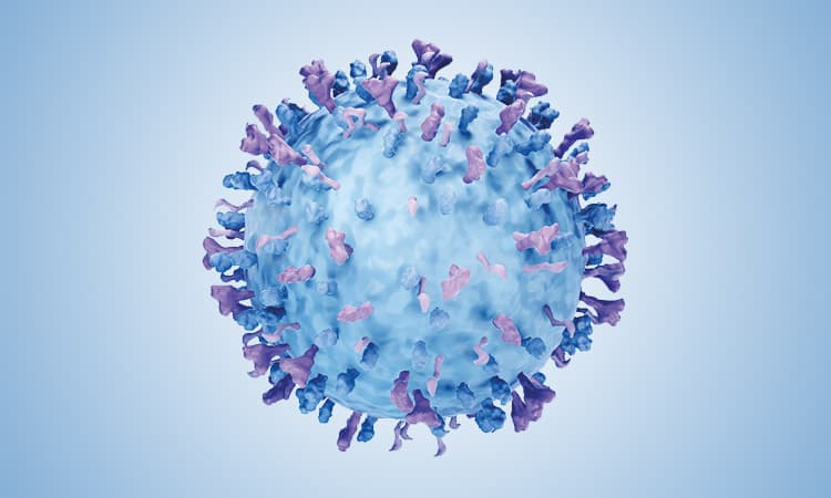 Mikroskopische Aufnahme eines Respiratory Syncytial Virus (RSV)