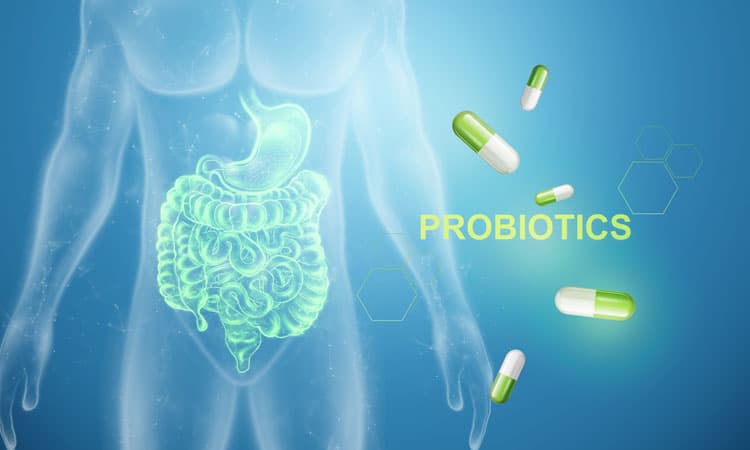Bild von Darm und Pillen, Inschrift Probiotika