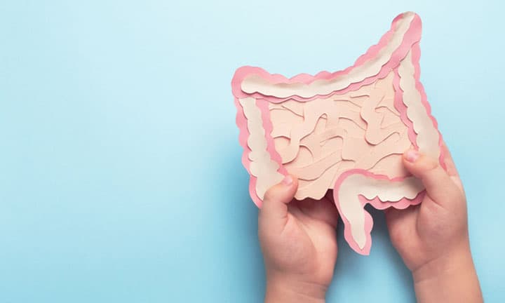 Child hands hold decorative model intestine on light blue background. Top view, copy space