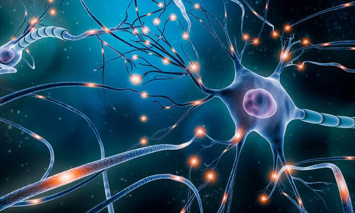 3D Illustration eines neuralen Netwzerks mit elektrischer Aktivität