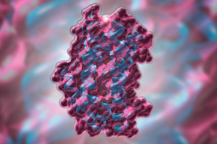 Illustration IL-6 Inhibitor