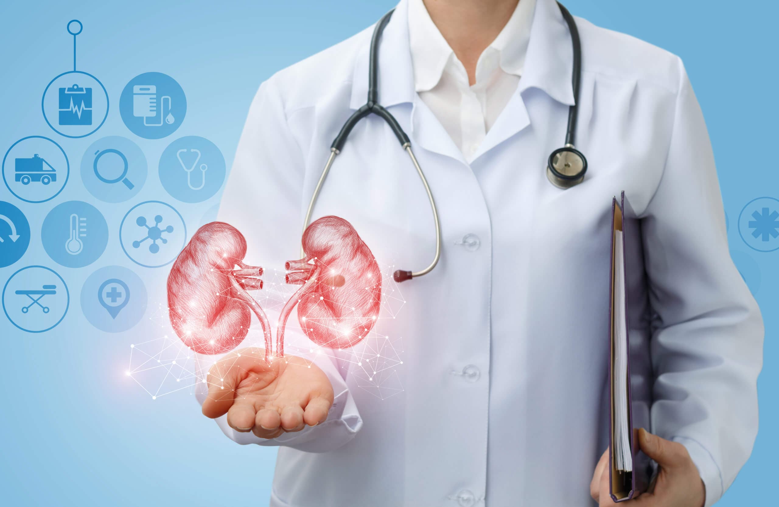 Eine Webinarreihe der Medical Tribune befasst sich mit dem Management der CKD.