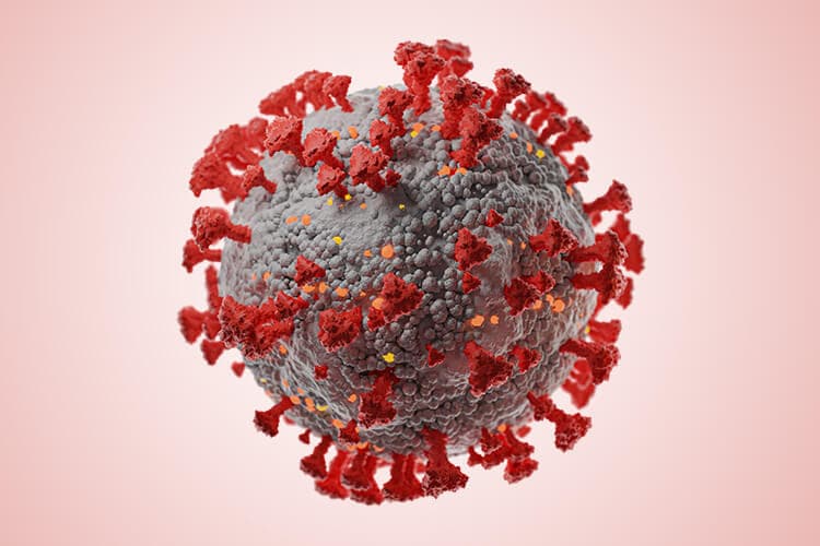 3D-Illustration des Coronavirus SARS-CoV-2