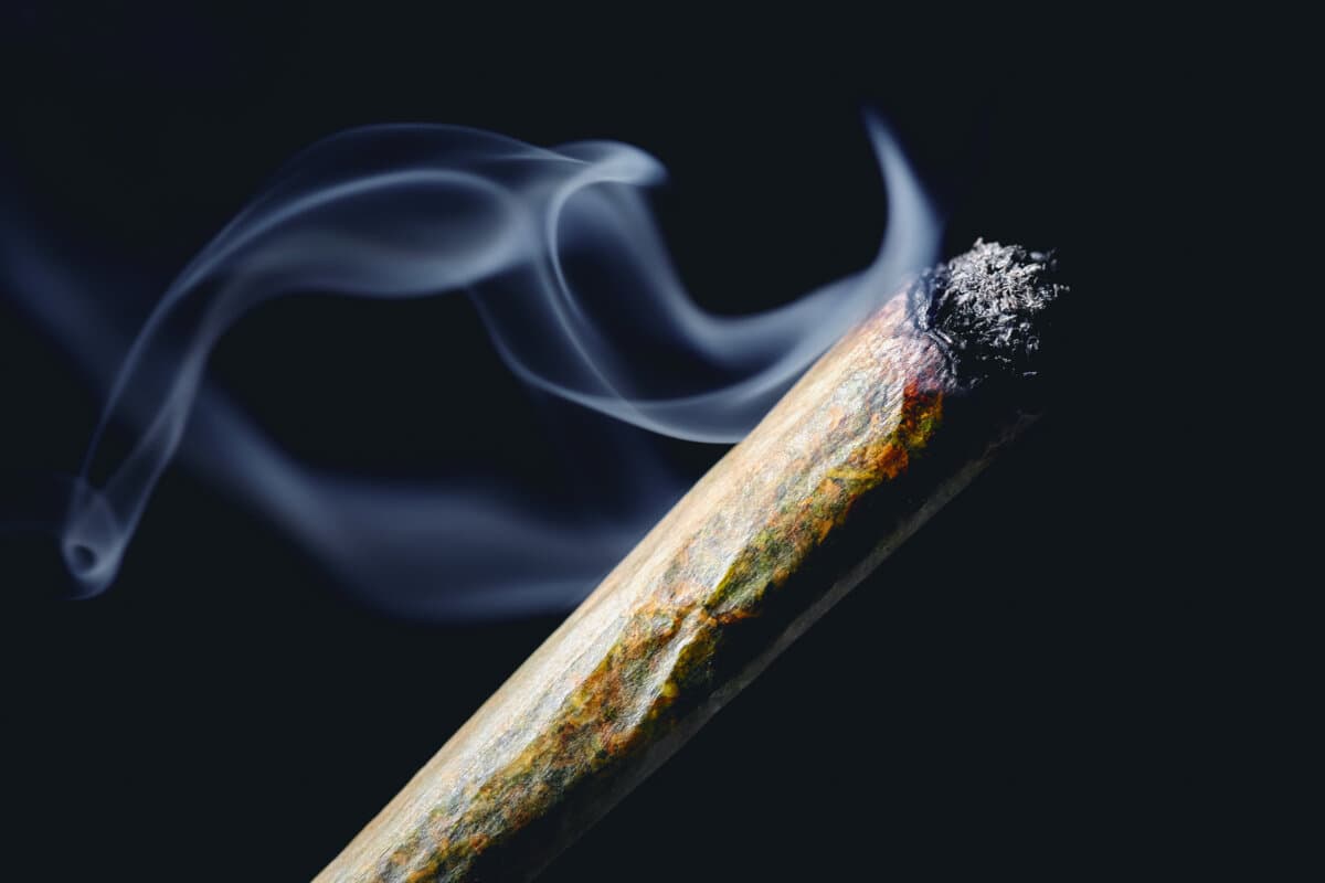 Foto einer Cannabis-Zigarette.