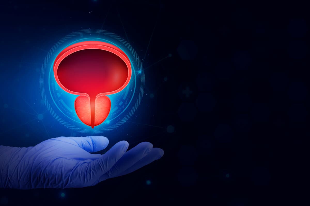 Bladder and prostate gland in the doctor&#8217;s hand, HTA. Prostate cancer, bladder cancer, men&#8217;s health care. Modern digital medicine in urology. Blue digital technology. Isolated
