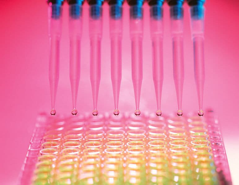 ELISA-Test. Multi-Pipetten und ein Multi-Well-Probentablett bei einem ELISA-Bluttest (enzyme-linked immunosorbent assay).