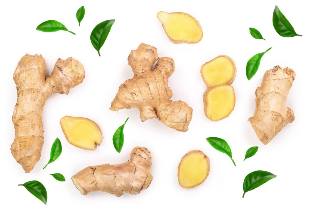 racine de gigembre frais