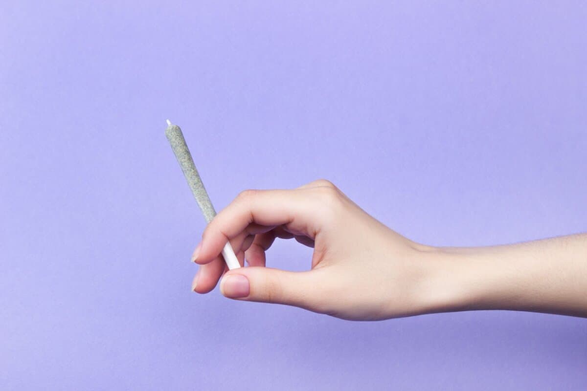 A woman's hand with natural nails holds a joint with medical marijuana on a light purple background.  copy space
