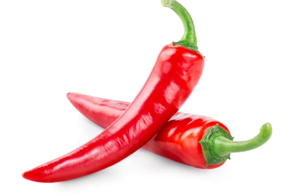Die Früchte der Chilipflanze enthalten Capsaicin