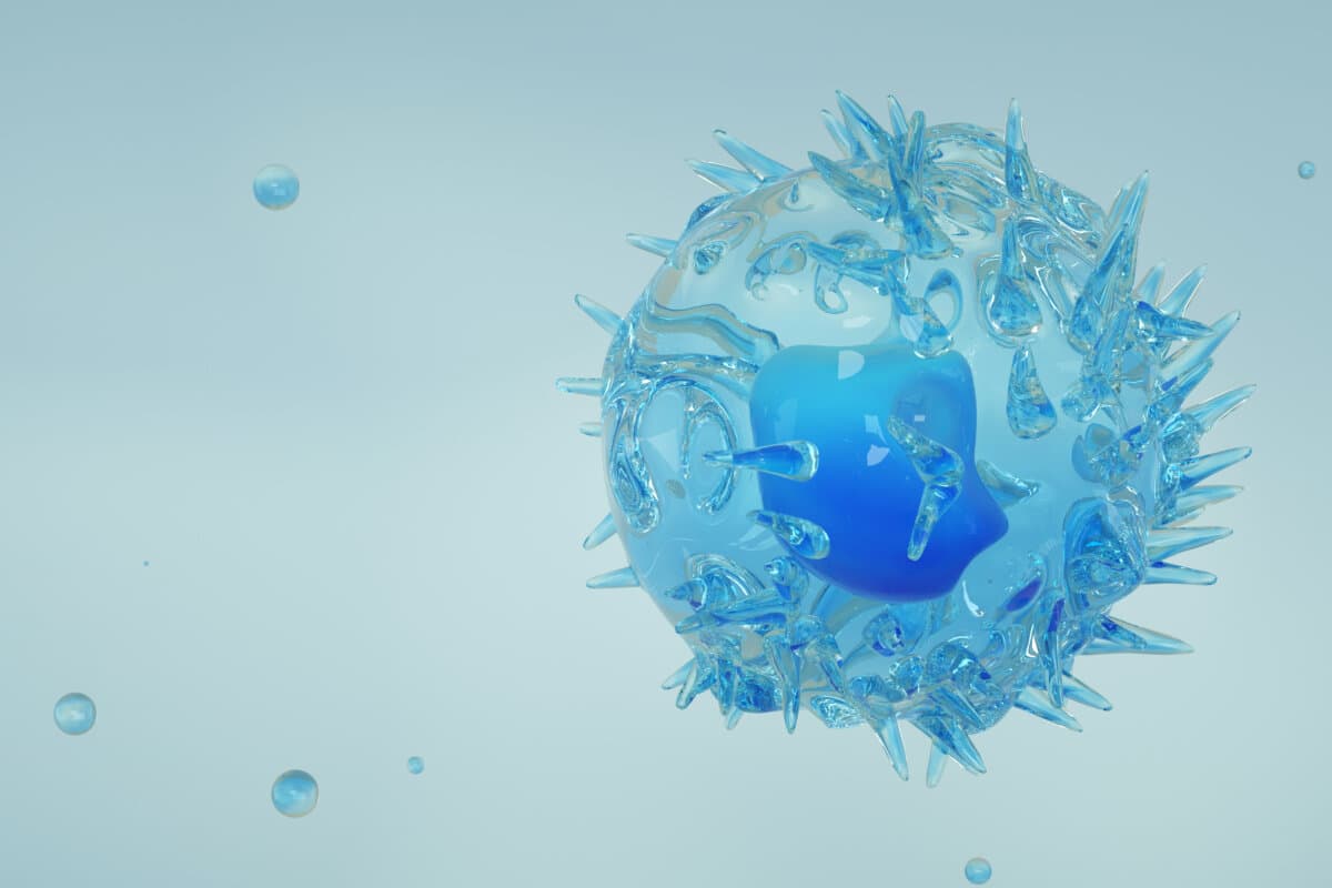 B-Zellen stehen im Zentrum der Immunantwort – und der Pathogenese des Sjögren-Syndroms. (3D-Darstellung)