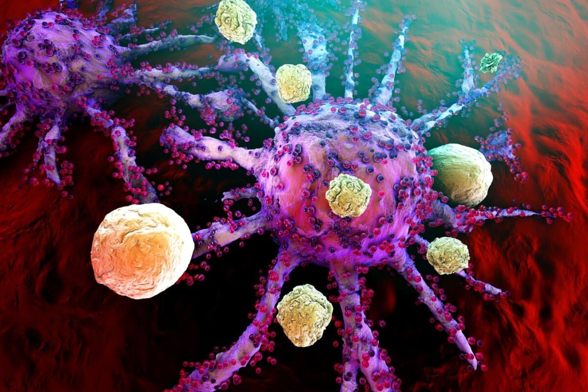 3D-Illustration: T-Zellen des Immunsystems erkennen und bekämpfen proliferierende Tumorzellen.