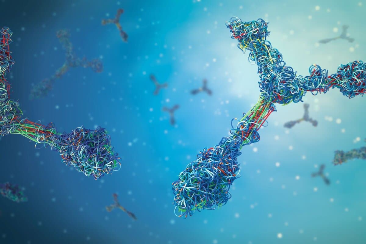 Autoantikörper (Immunglobuline) als dreidimensionale Proteinstrukturen – sie spielen bei der EGPA eine zentrale Rolle.