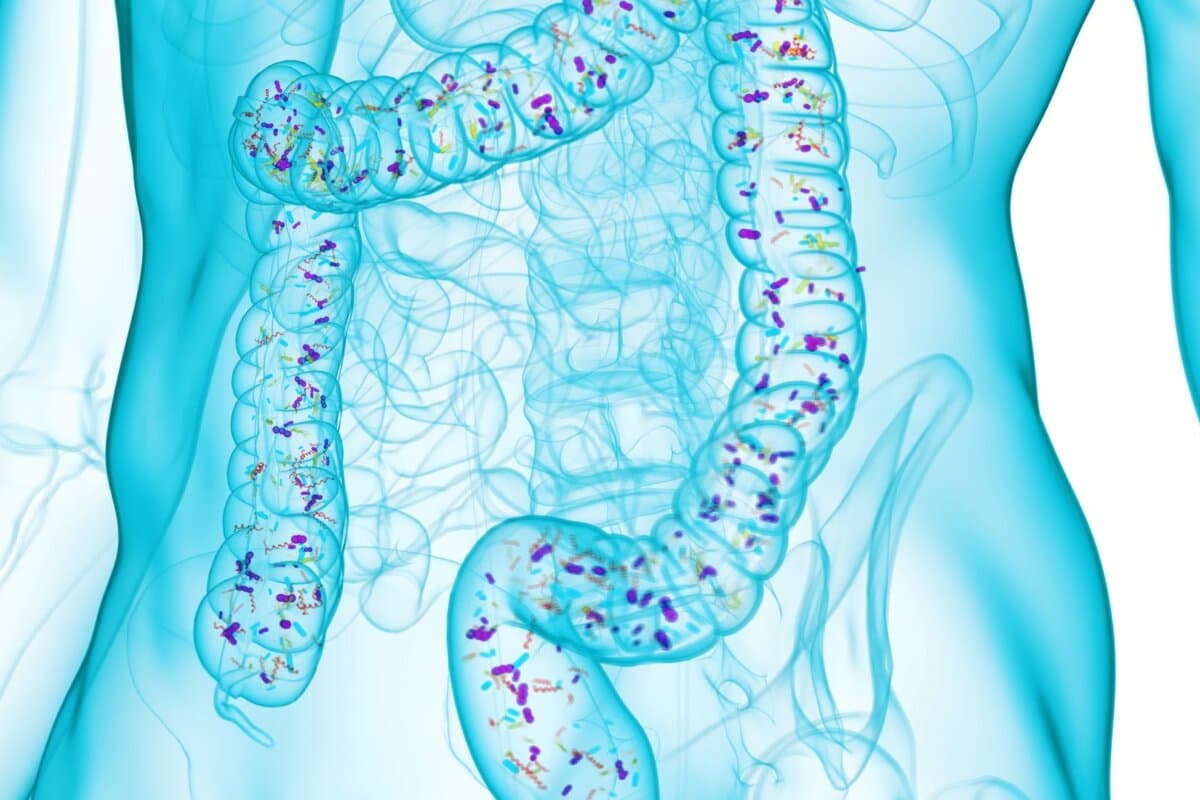 3D-Visualisierung des Kolon-Mikrobioms vor neutralem Hintergrund – die komplexe Zusammensetzung der Darmflora im Fokus.