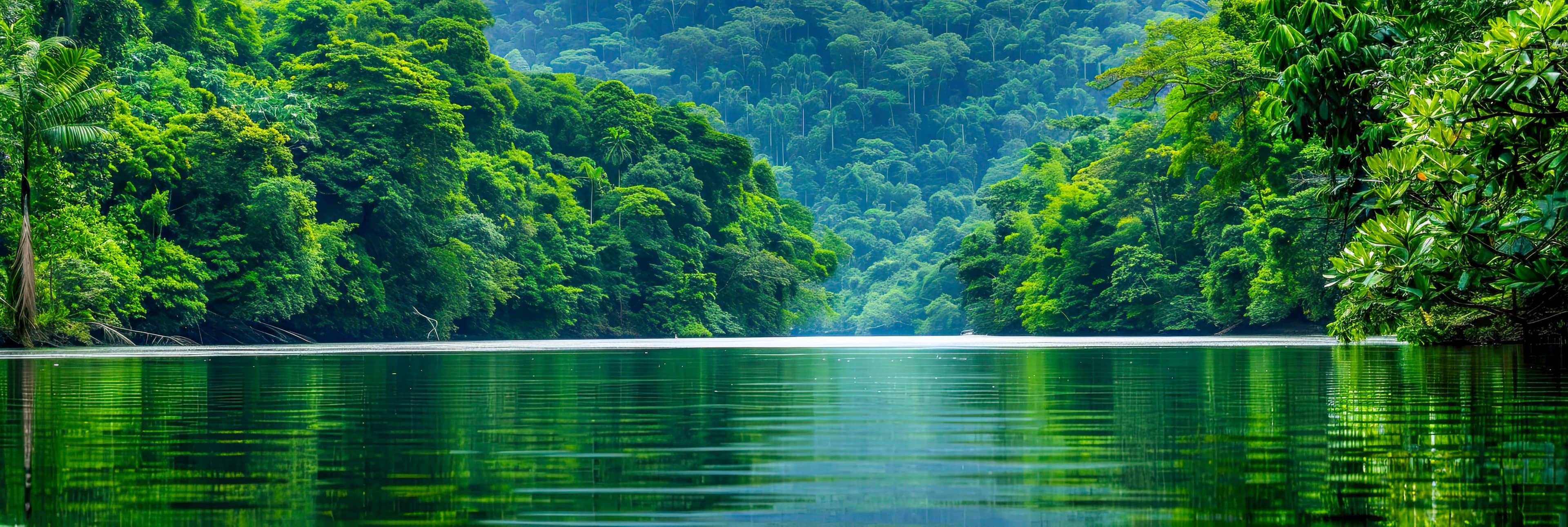Ein Fluss in Amazonasgebiet. Wasserwege in tropischen Regenwald.