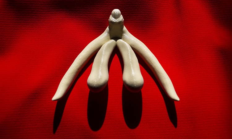 Dirty anal porn