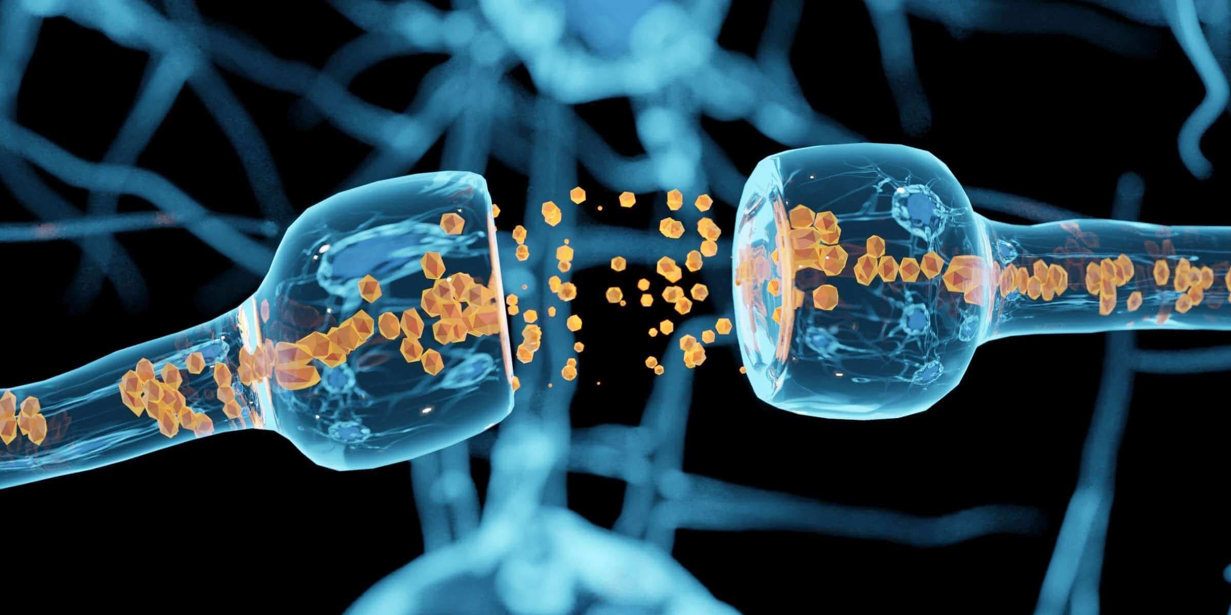 Ein Neuron oder eine Nervenzelle ist eine elektrisch erregbare Zelle.