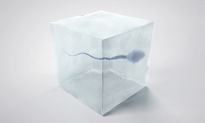 Frozen spermatozoon. 3D illustration of the sperm swimming to the ovule on white background. Minimalistic.  Sperm Bank.