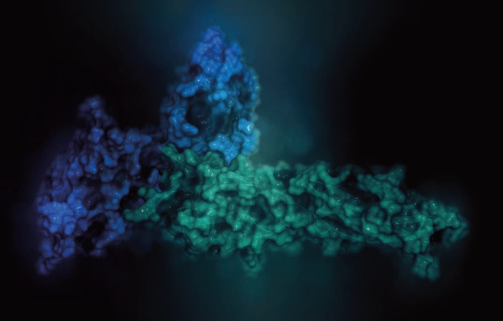 Programmed cell death 1 (PD-1, CD279, blue) immune checkpoint pr