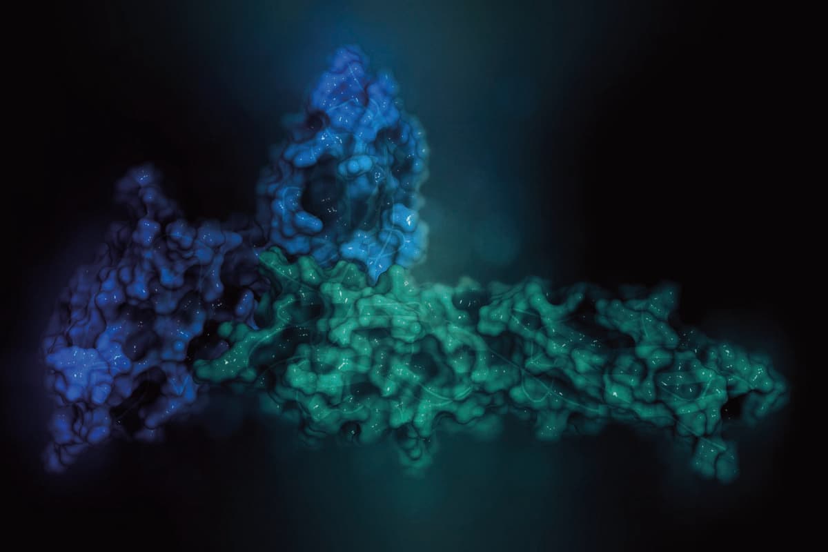 Programmed cell death 1 (PD-1, CD279, blue) immune checkpoint pr