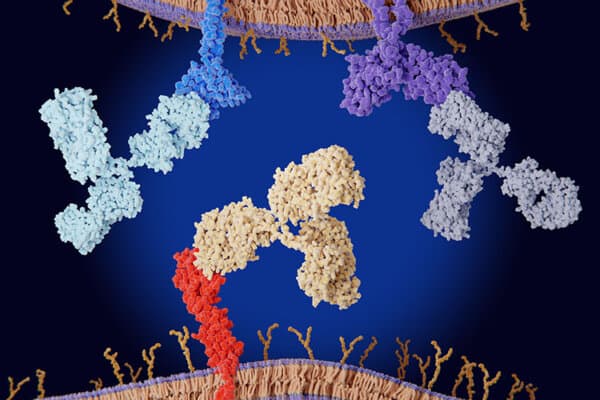 Immune Checkpoint Inhibitors