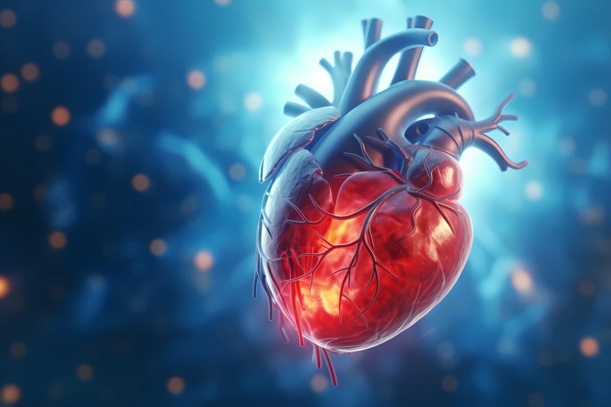 Anatomie des menschlichen Herzens auf medizinischem Hintergrund. 3D-Darstellung. Generative KI.