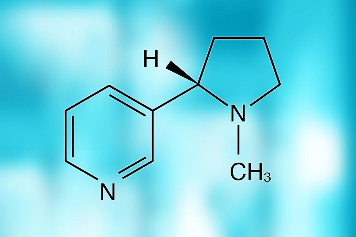 Chemische Formel von Nikotin