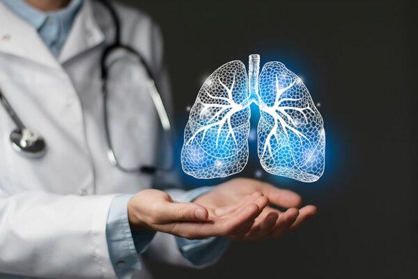 Le pneumologue tient dans ses mains une illustration 3D d'un poumon humain.