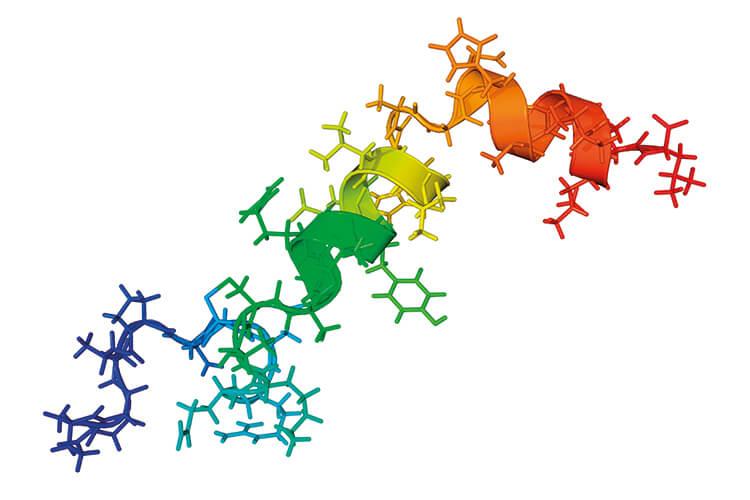 Illustration Orexin A Hormon Molekül