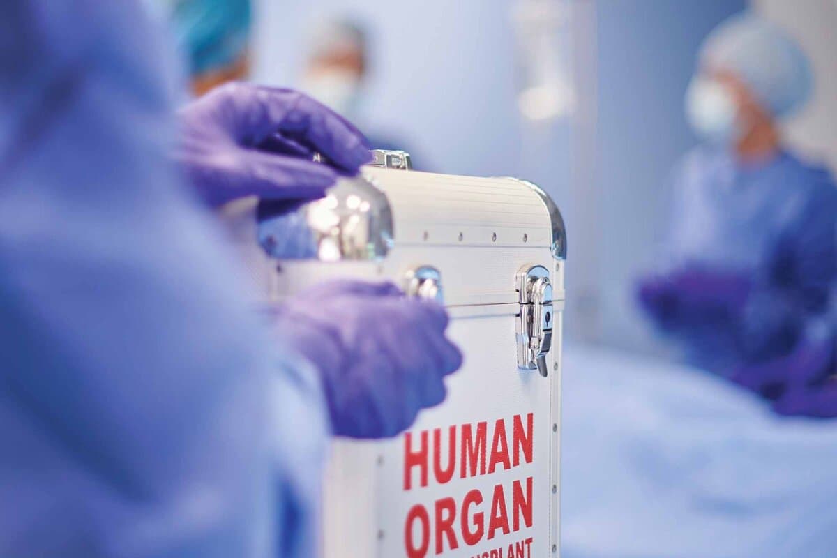 Organtransplantationschirurgie