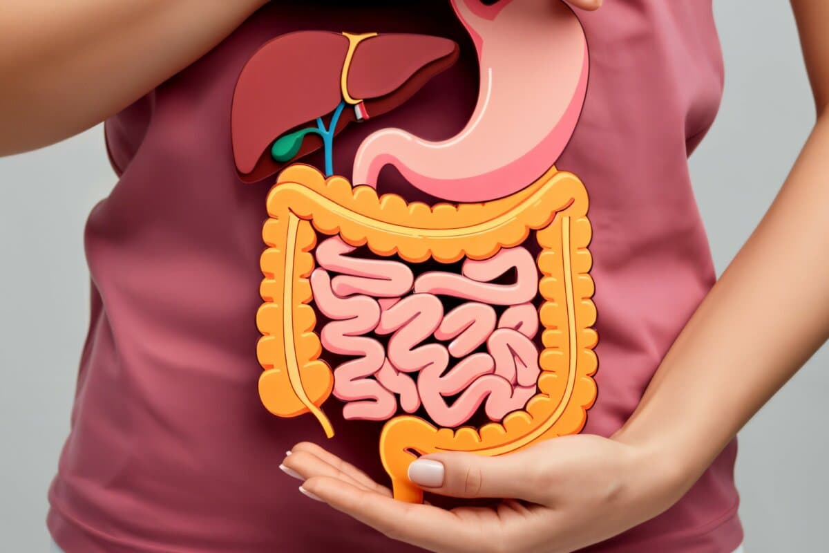 Frau hält buntes anatomisches Modell des Verdauungssystems vor dem Oberkörper, das Magen, Darm und Leber zeigt.