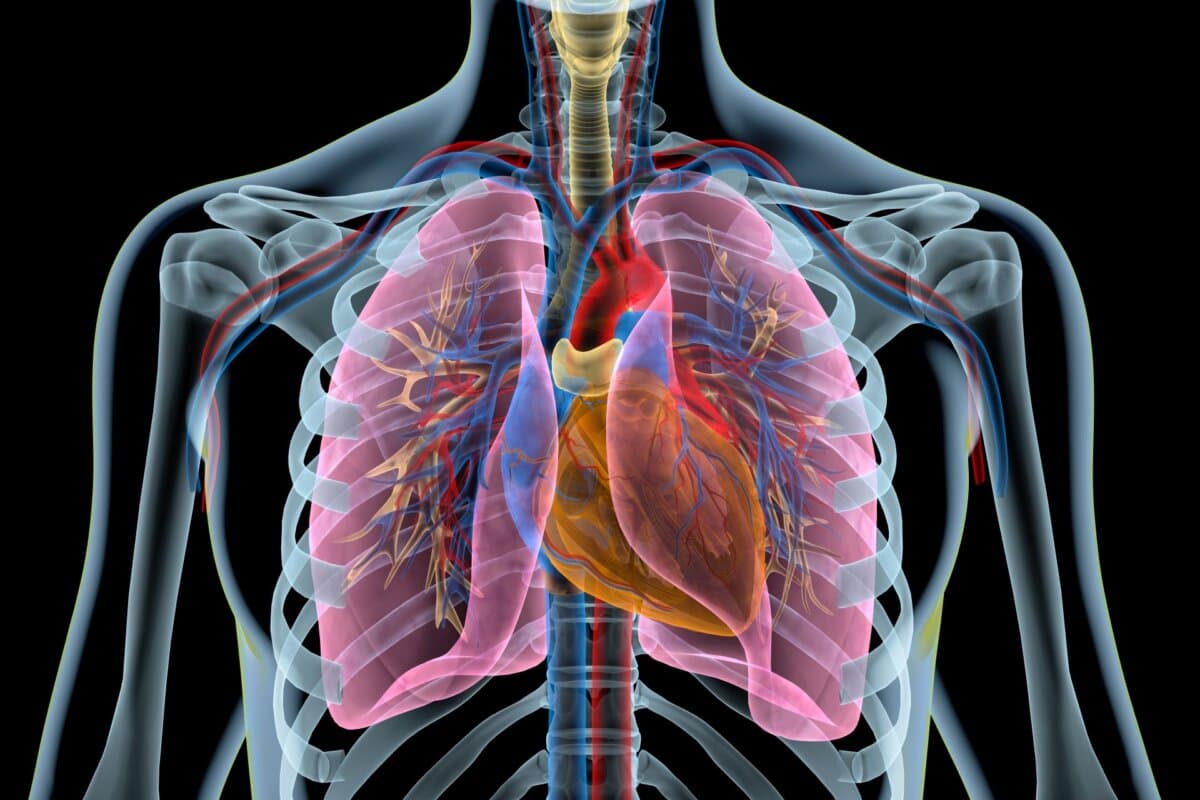 Chaque cas de PAC peut augmenter le risque cardiovasculaire.