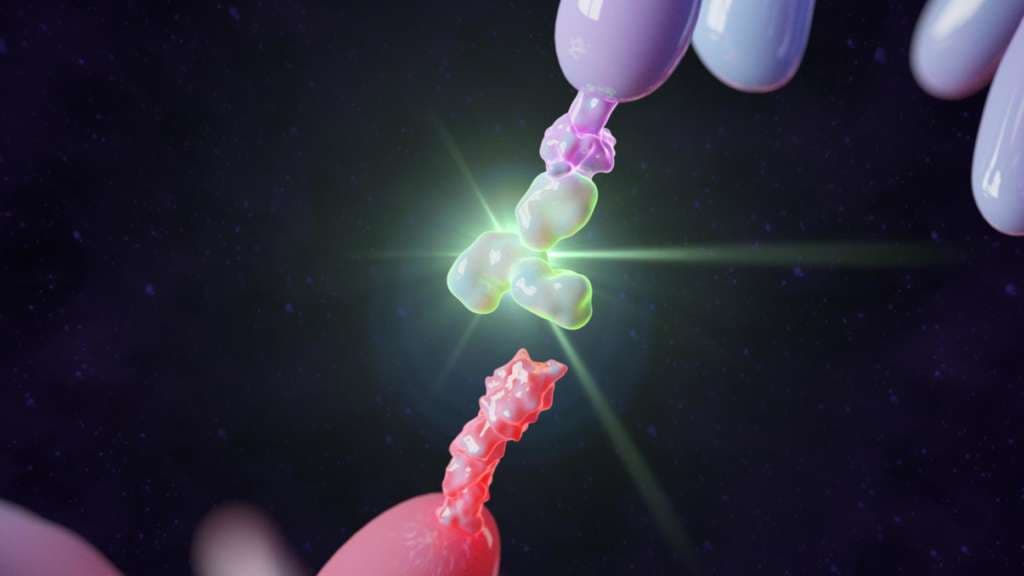 Antikörper targeting Immune Checkpoint Inhibitor