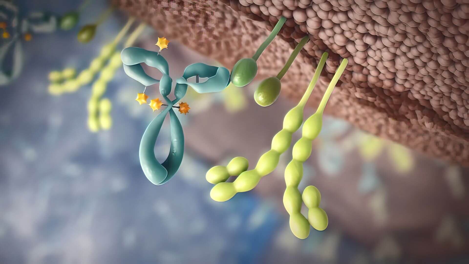 Neu oder bald zugelassene zielgerichtete Therapien und Biologika haben in einigen Indikationen bereits gute Evidenzen.