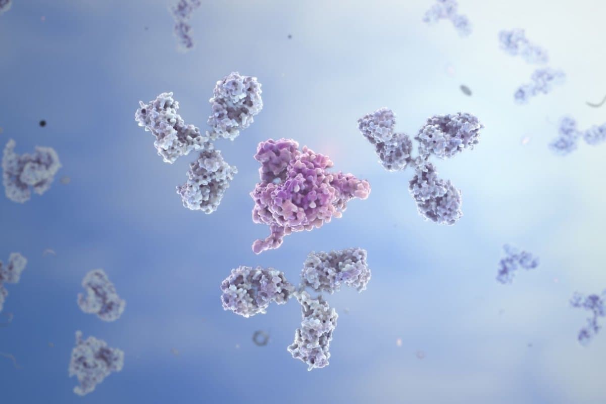 Belimumab ist gegen den löslichen Faktor BLys gerichtet.