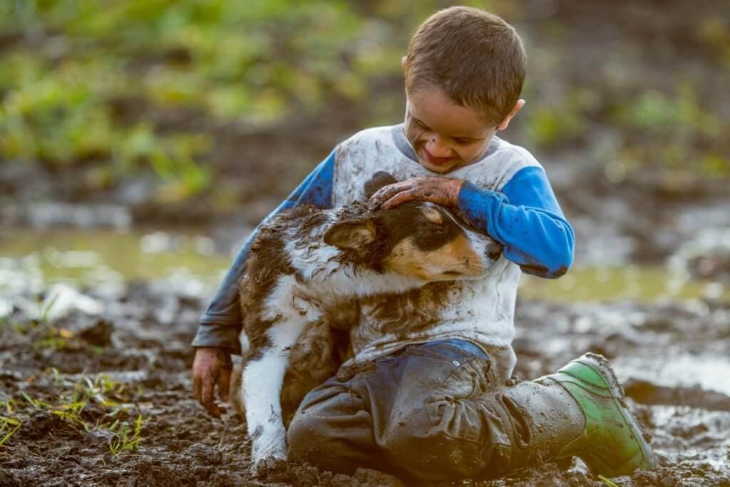 Ein oder mehrere Hunde schützen vor Allergien.