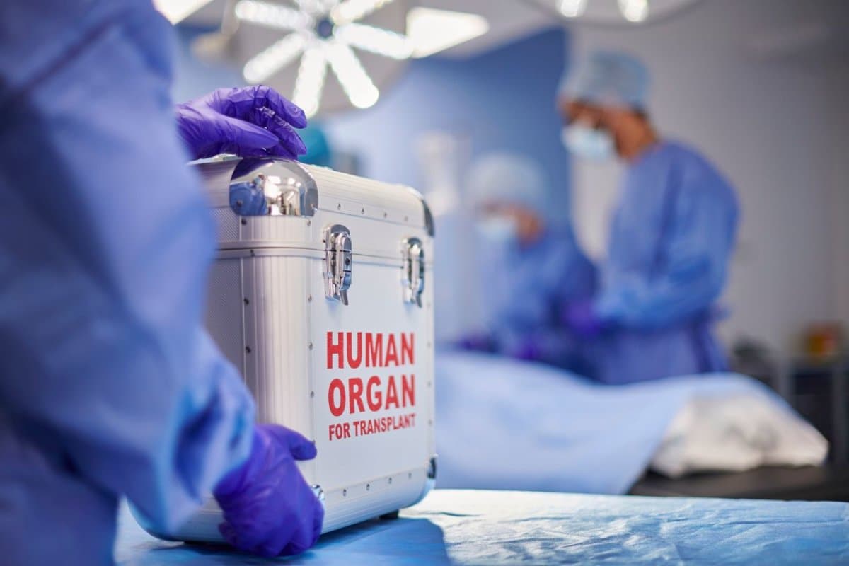 Mehr Konzepte werden benötigt, um den Mangel an Organspenden zu decken.