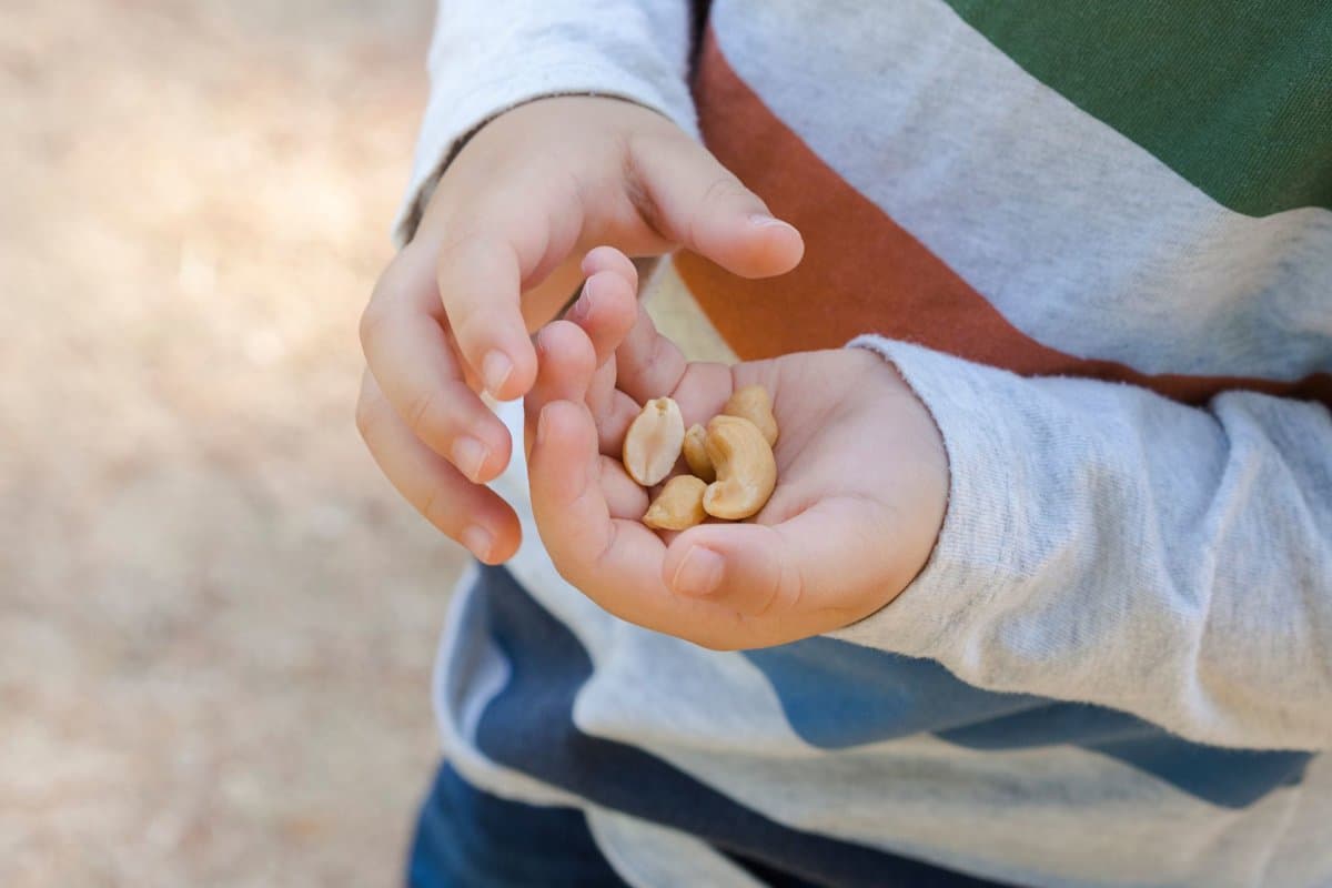 Für Kleinkinder mit Erdnussallergie gibt es im Moment kein zugelassenes Behandlungsverfahren.