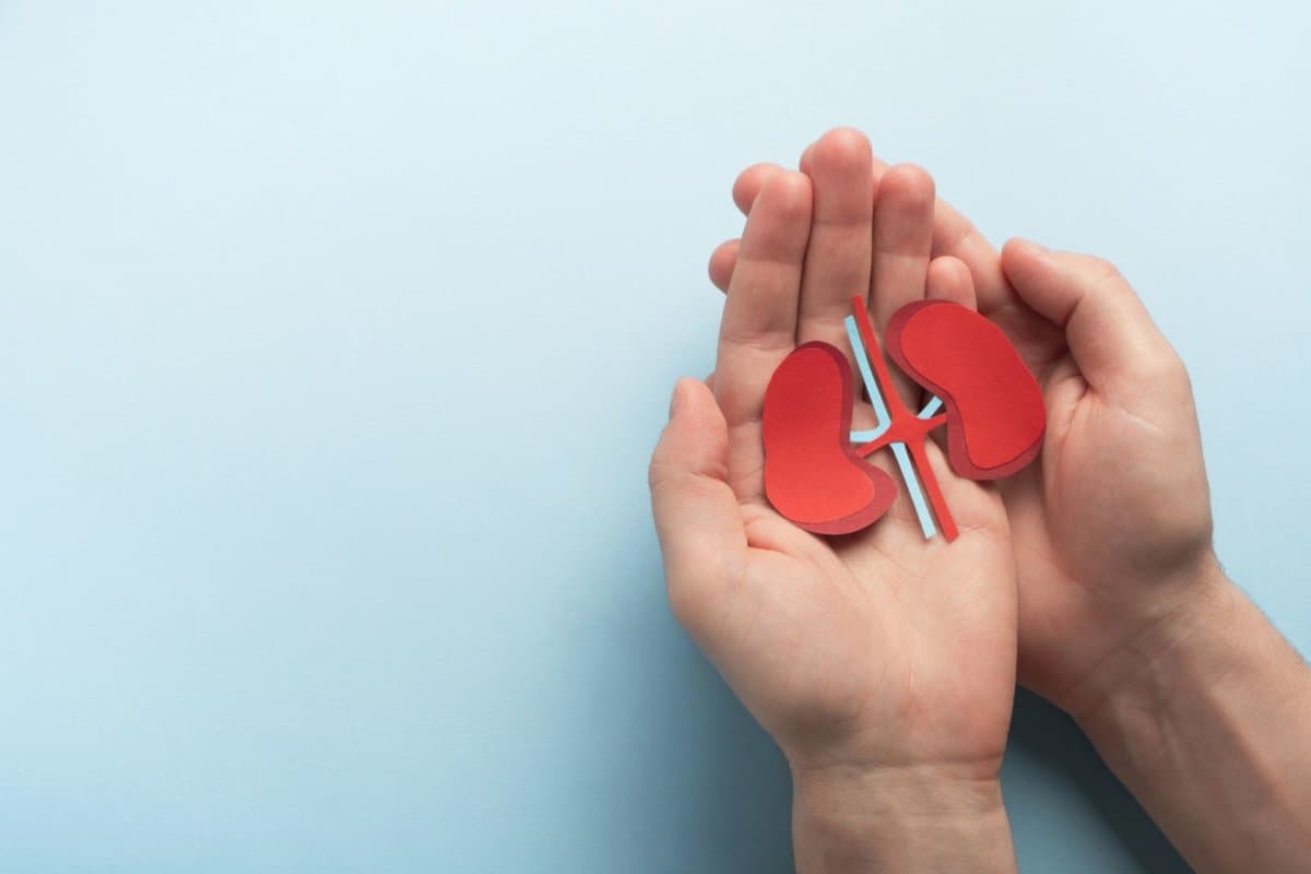 Niereninsuffizienz und Hyperkaliämie erschweren häufig eine leitliniengerechte Therapie der Herzinsuffizienz.