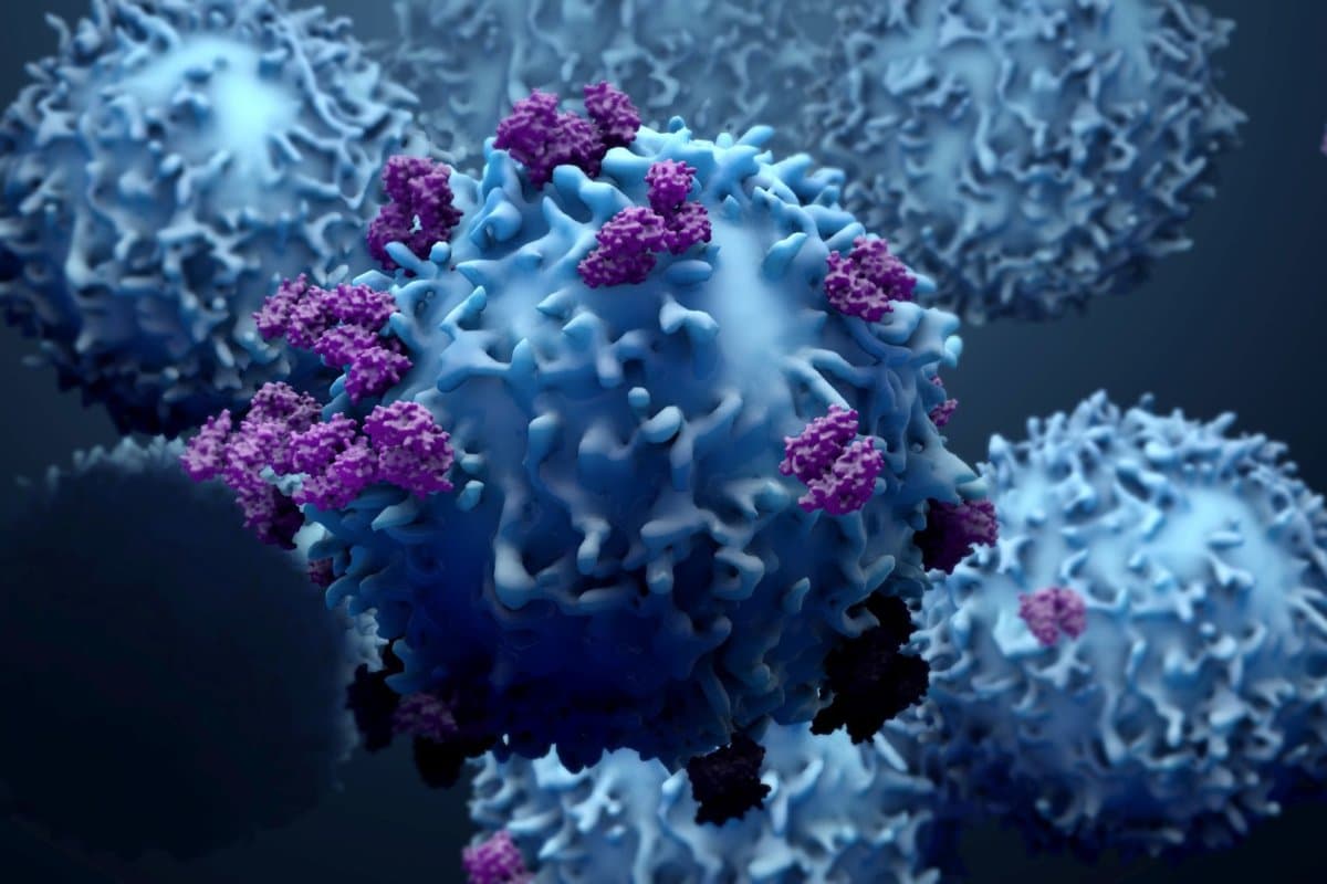 Mosunetuzumab ist bisher als einziger bispezifischer Antikörper für die Drittlinie des follikulären Lymphoms zugelassen.