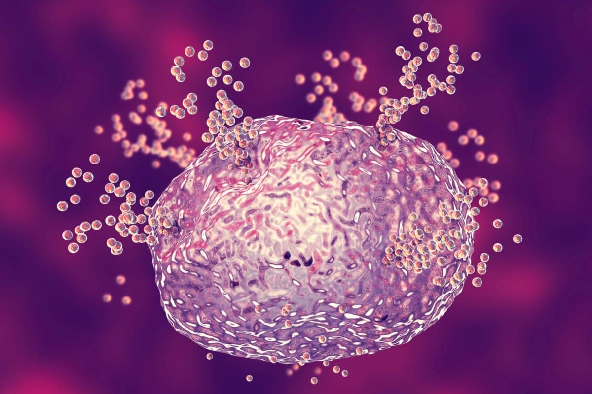 Lebrikizumab hemmt das Interleukin-13, das etwa für die Mastzelldegranulation verantwortlich ist.