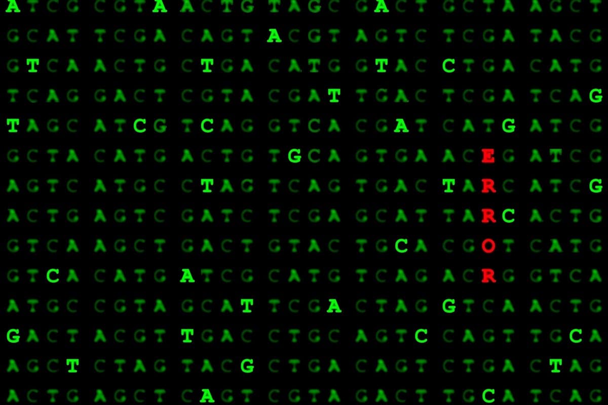Die TMB sagt viel, aber nicht alles, über das Ansprechen einer Immuncheckpoint-Inhibitor-Therapie aus.