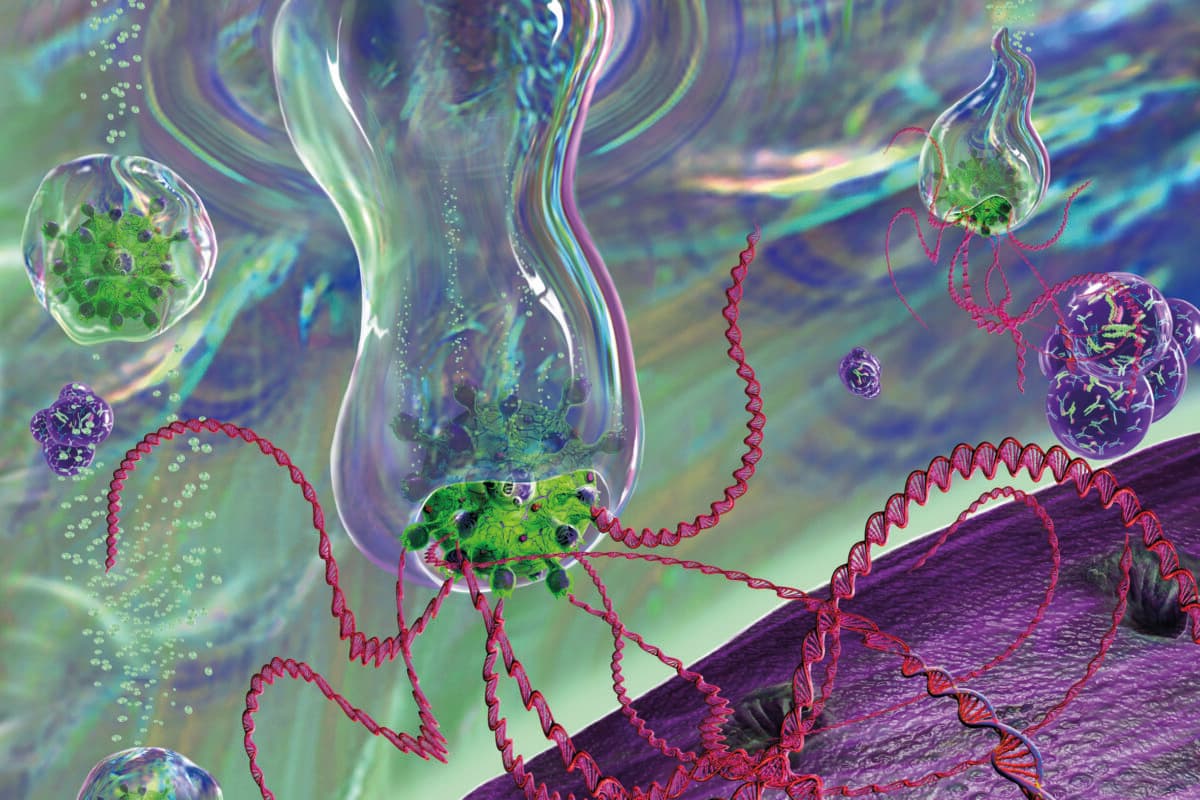 CAR T cell immunotherapy, illustration